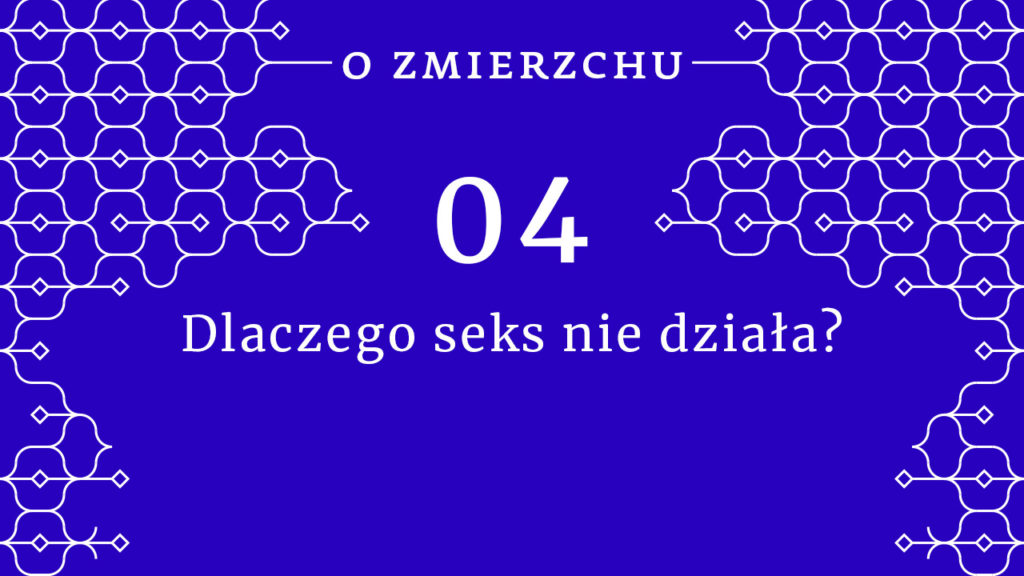 Dlaczego Seks Nie Dzia A Marta Niedzwiecka O Zmierzchu