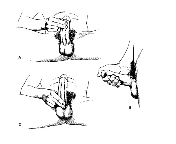 Larger Penis Exercise.